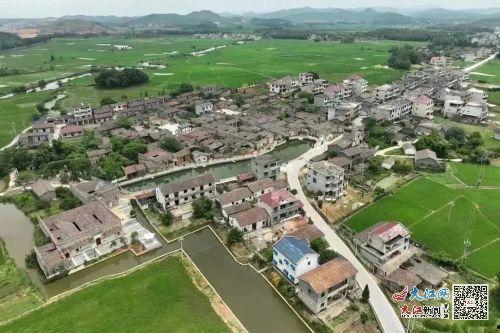 藤溪县金溪镇新闻头条,金溪镇焕新颜，乡村振兴战略成效显著